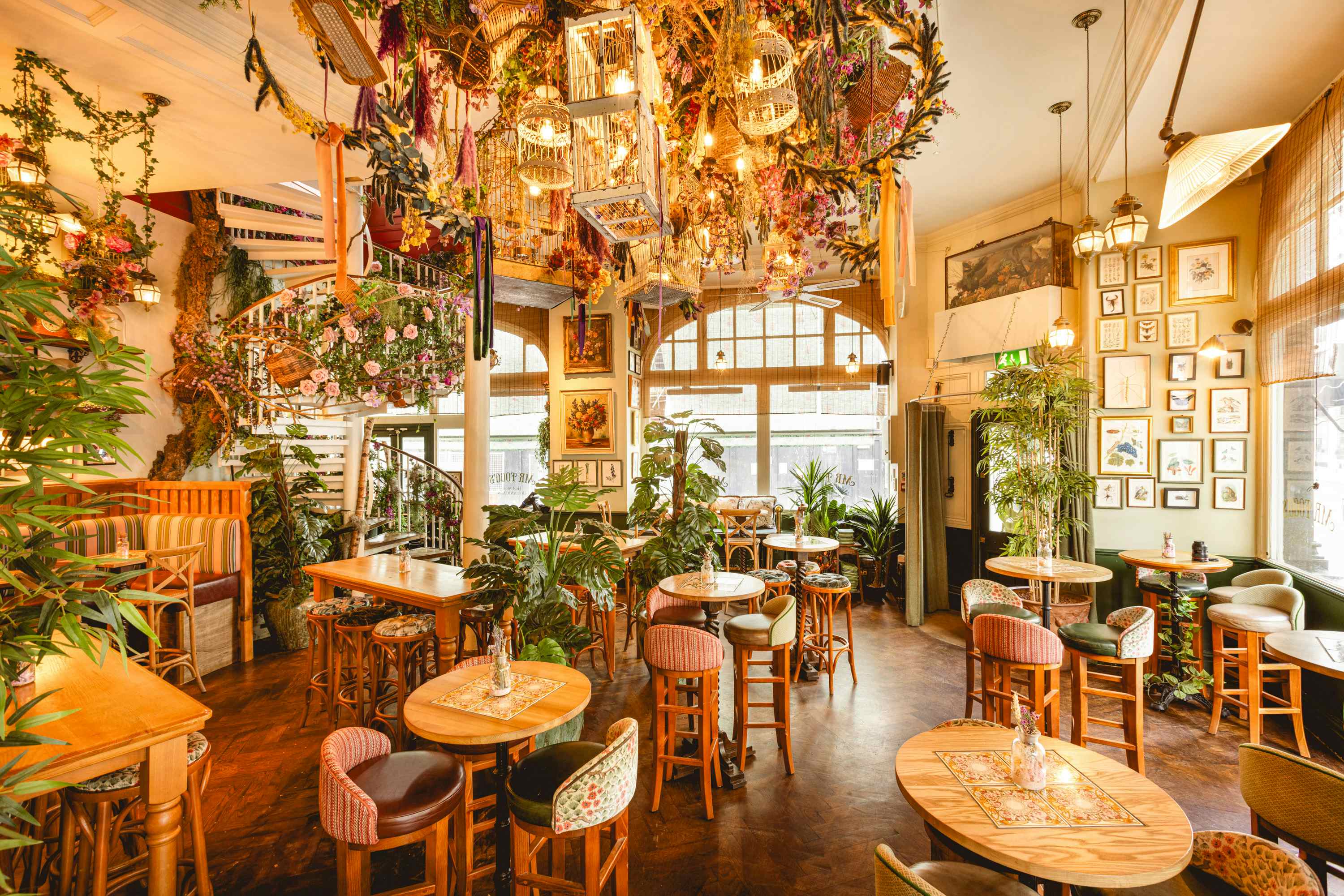Mr Fogg's Botanical Tavern
